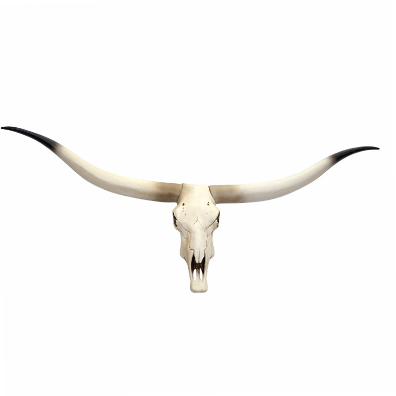 Crâne de décoration vache polyresin, trophée de taureau avec cornes, 103x43x11cm
