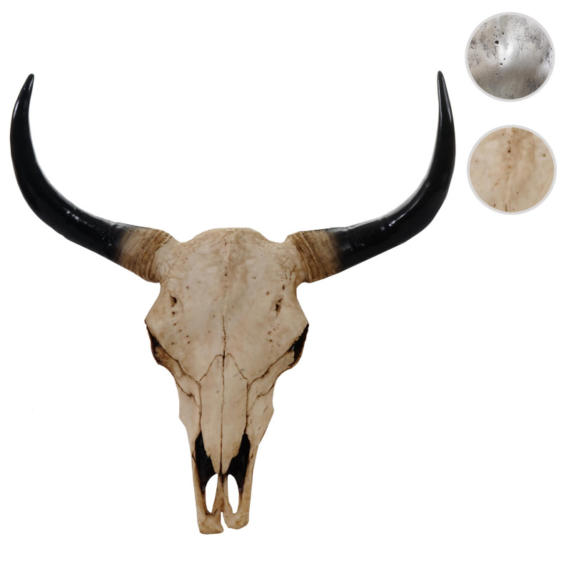 Crâne de décoration taureau 45cm polyresin, sculpture, cornes longues, intérieur/plein air  nature