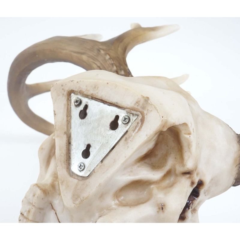 Crâne de décoration cerf 58 cm, polyresin, sculpture, ramure de cerf, intérieur/plein air