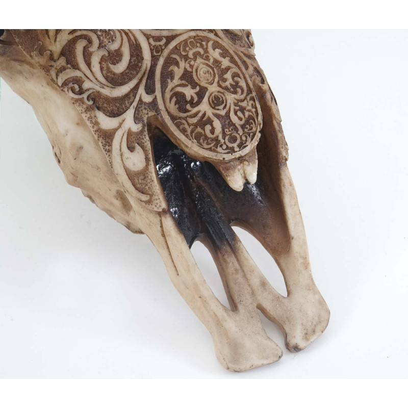 Crâne de décoration taureau 45cm, polyresin, sculpture, cornes longues, intérieur/plein air  ornements