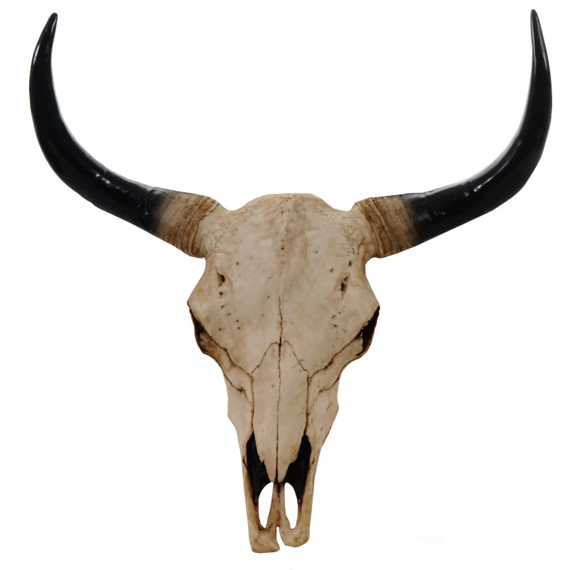 Crâne de décoration taureau 64cm, polyresin, sculpture, cornes longues, intérieur/plein air - nature
