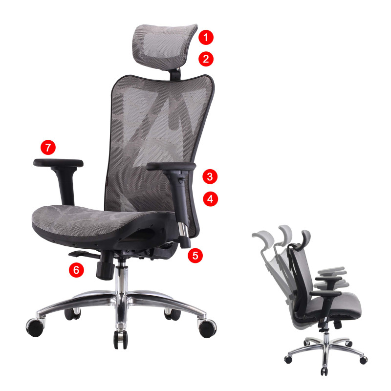 SIHOO chaise de bureau ergonomique, accoudoirs réglables, charge max. 150kg - revêtement gris, piétement noir
