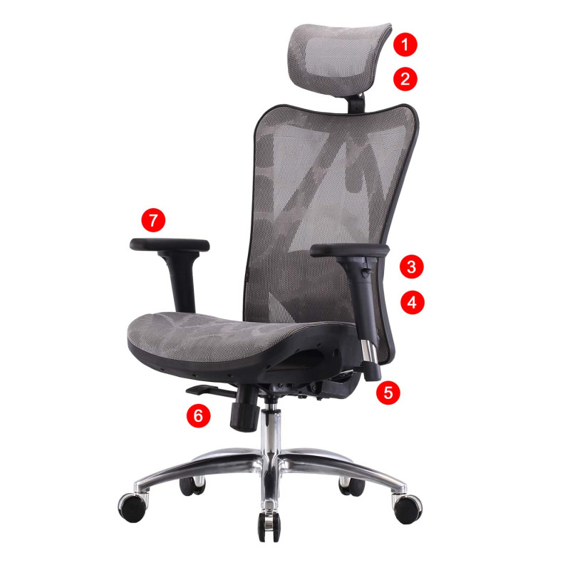 SIHOO chaise de bureau ergonomique, accoudoirs réglables, charge max. 150kg - revêtement gris, piétement noir