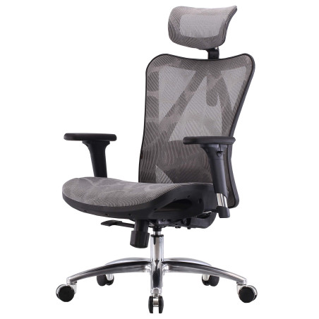 SIHOO chaise de bureau ergonomique, accoudoirs réglables, charge max. 150kg - revêtement gris, piétement noir