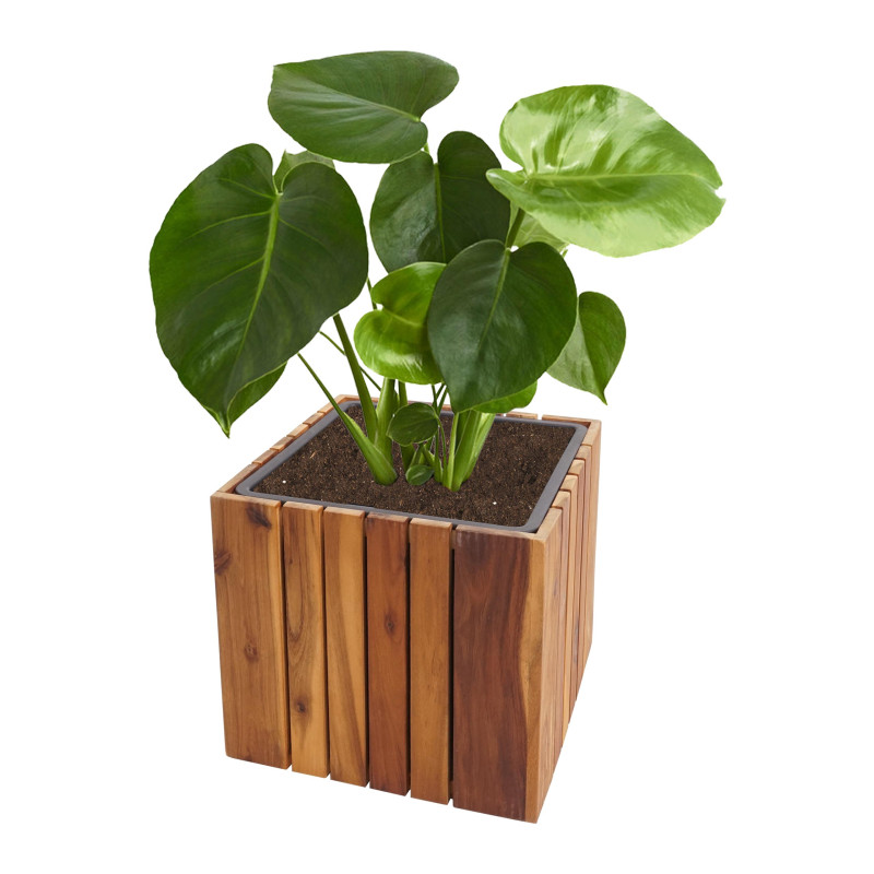 Jardinière Pot de fleur, carré 32x32x32cm Outdoor Acacia bois certifié MVG, brun
