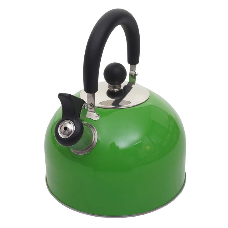 Bouilloire à flûte Bouilloire à thé, Acier inoxydable résistant à la chaleur 2,5l - vert