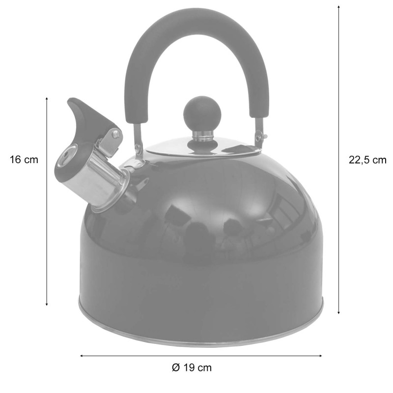 Bouilloire à flûte Bouilloire à thé, Acier inoxydable résistant à la chaleur 2,5l - vert