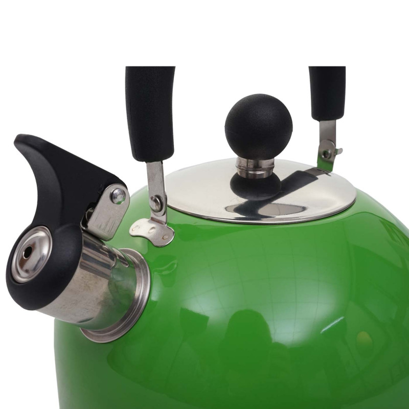 Bouilloire à flûte Bouilloire à thé, Acier inoxydable résistant à la chaleur 2,5l - vert