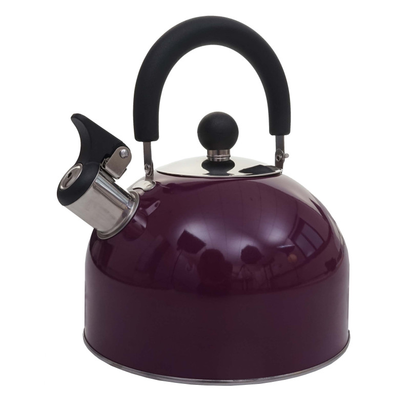 Bouilloire à flûte Bouilloire à thé, Acier inoxydable résistant à la chaleur 2,5l - violet