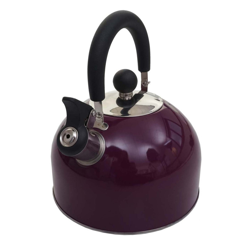 Bouilloire à flûte Bouilloire à thé, Acier inoxydable résistant à la chaleur 2,5l - violet