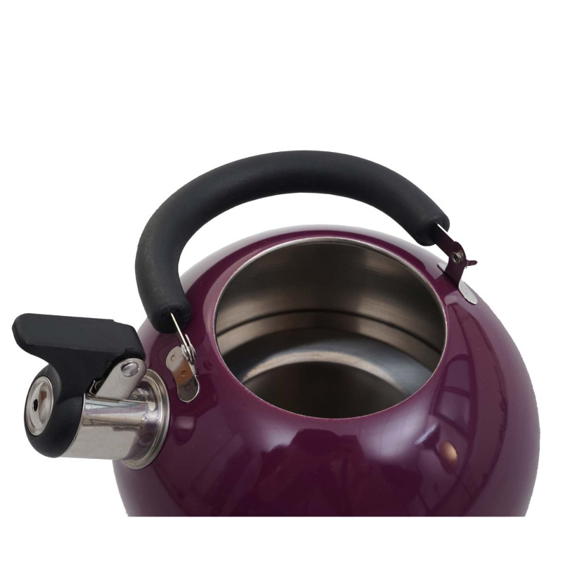 Bouilloire à flûte Bouilloire à thé, Acier inoxydable résistant à la chaleur 2,5l - violet