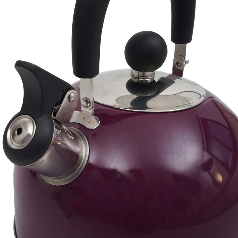 Bouilloire à flûte Bouilloire à thé, Acier inoxydable résistant à la chaleur 2,5l - violet